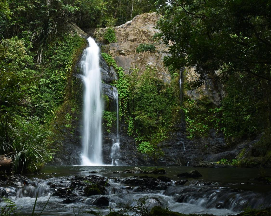 Cassowary Falls Gateway Daintree Exteriér fotografie